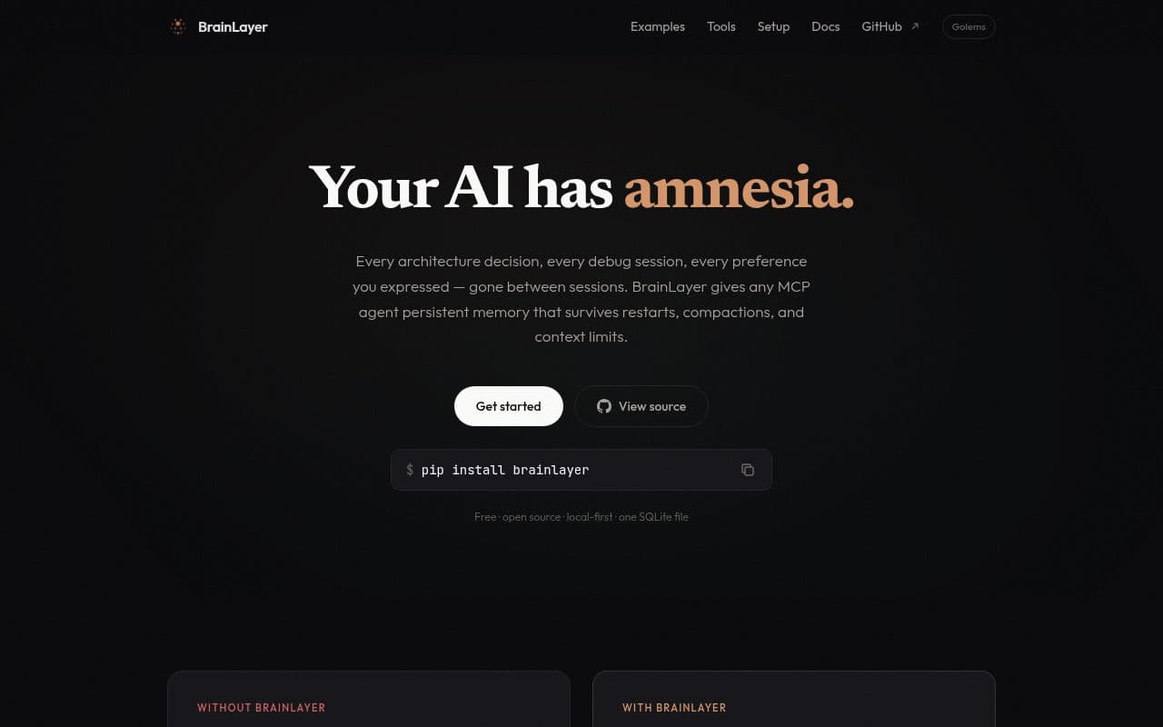 Screenshot of BrainLayer