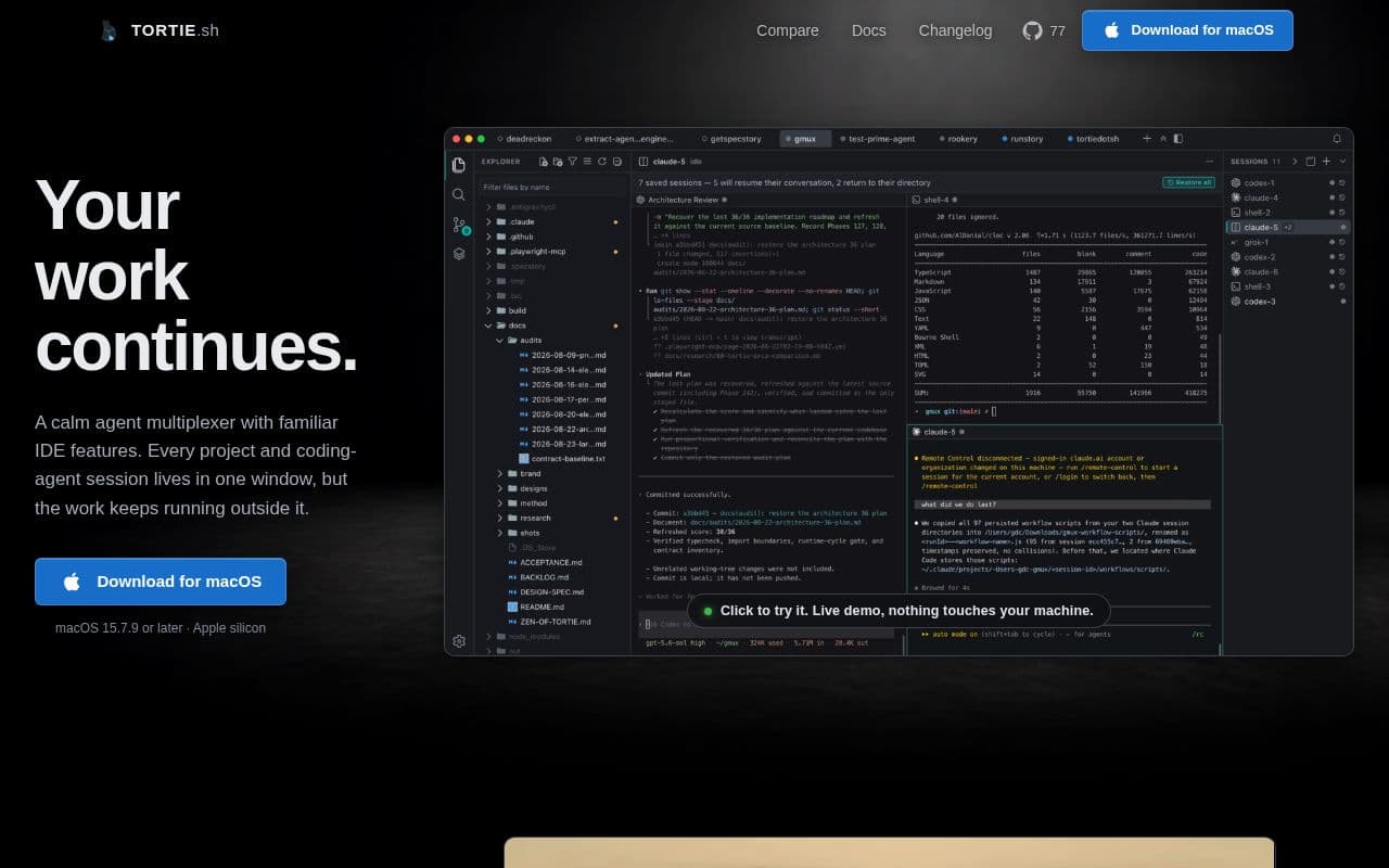Screenshot of Tortie
